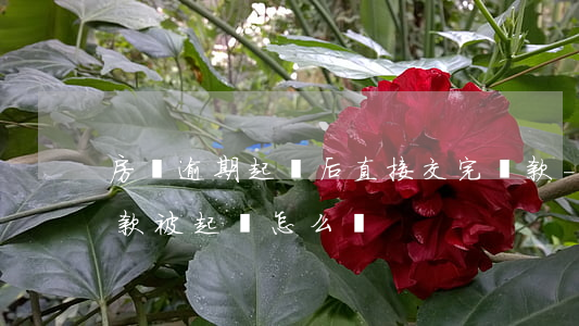 房貸逾期起訴后直接交完貸款-房貸逾期還款被起訴怎么辦