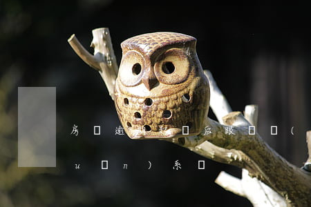 房貸逾期起訴后跟開發(fā)商有關(guān)系嗎