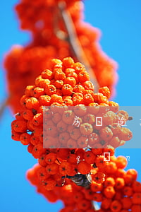 房貸逾期起訴如何取消(房貸逾期可以申請(qǐng)撤銷嗎)