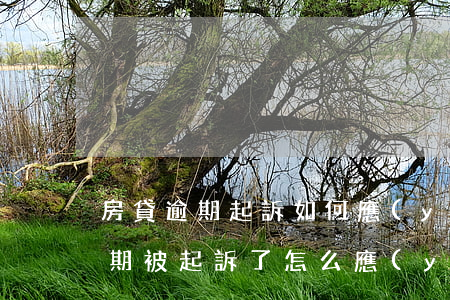 房貸逾期起訴如何應(yīng)訴（房貸逾期被起訴了怎么應(yīng)訴）