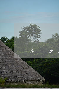 房貸逾期起訴律師費用標準-房貸逾期后的訴訟費和律師費