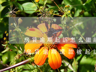 房貸逾期起訴怎么繼續(xù)履行合同-房貸逾期還款被起訴怎么辦