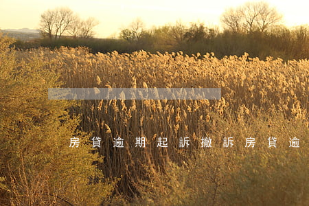 房貸逾期起訴撤訴 房貸逾期起訴撤訴