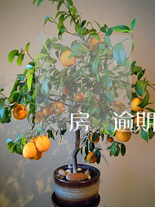 房貸逾期起訴條件(房貸逾期起訴條件)