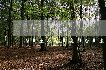 房貸逾期起訴流程(房貸逾期被起訴的流程)