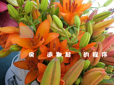 房貸逾期起訴的程序