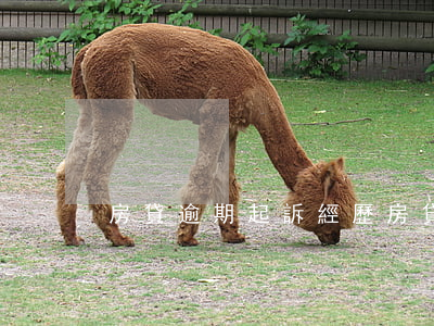 房貸逾期起訴經歷(房貸逾期被起訴怎么應訴)