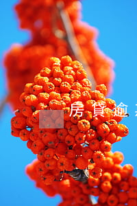 房貸逾期起訴罰息減免 房貸逾期的罰息