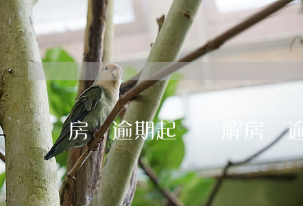 房貸逾期起訴調解(房貸逾期被起訴調解)