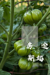 房貸逾期起訴還能協(xié)商嗎（房貸逾期起訴還能協(xié)商嗎）
