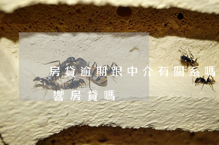 房貸逾期跟中介有關系嗎(其他貸款逾期會影響房貸嗎)