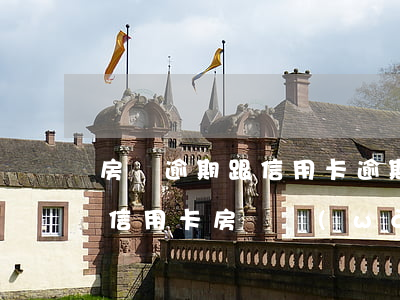 房貸逾期跟信用卡逾期哪個嚴(yán)重（信用卡房貸網(wǎng)貸逾期）