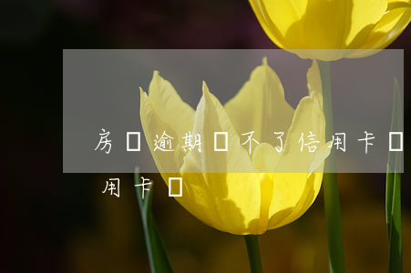 房貸逾期辦不了信用卡嗎(房貸逾期可以辦信用卡嗎)