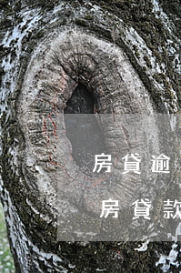 房貸逾期連同擔(dān)保公司被起訴 期房貸款逾期被起訴