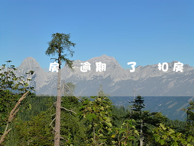 房貸逾期過了補扣(房貸逾期怎么補交)