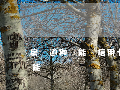 房貸逾期過能辦信用卡嗎（信用卡有逾期房貸能貸嗎）