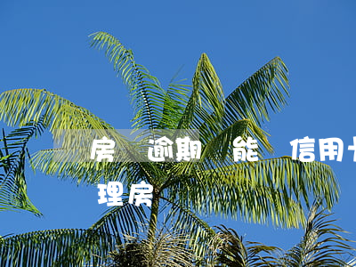 房貸逾期過能辦信用卡嗎（信用卡沒逾期能辦理房貸嗎）