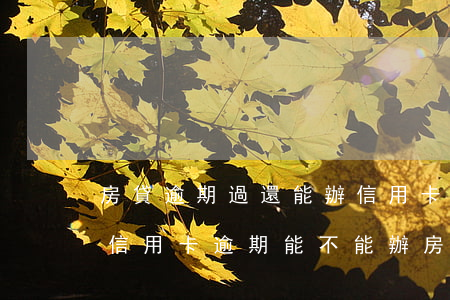 房貸逾期過還能辦信用卡嗎(有一個(gè)信用卡逾期能不能辦房貸)