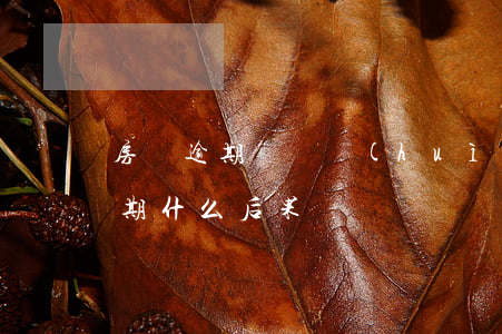 房貸逾期違約會(huì)怎么處理(房貸逾期什么后果)