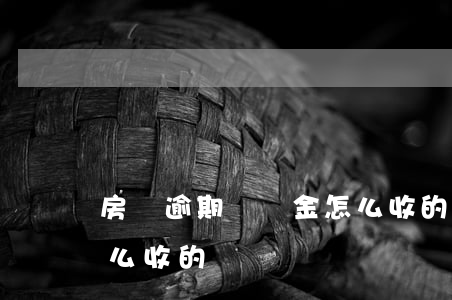 房貸逾期違約金怎么收的(房貸逾期違約金怎么收的)