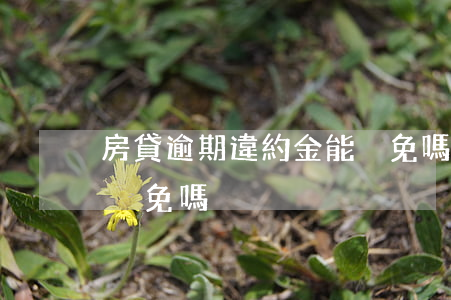 房貸逾期違約金能減免嗎(房貸逾期違約金能減免嗎)