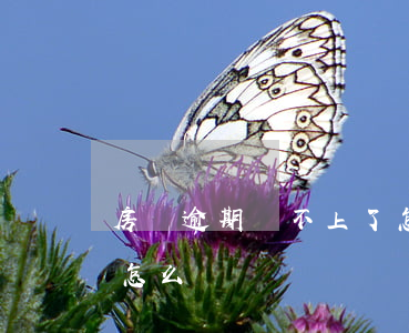 房貸逾期還不上了怎么辦(房貸逾期還不上了怎么辦)
