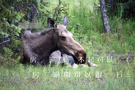 房貸逾期還不起可以協(xié)商還款嗎 房貸逾期可以跟銀行協(xié)商還款嗎