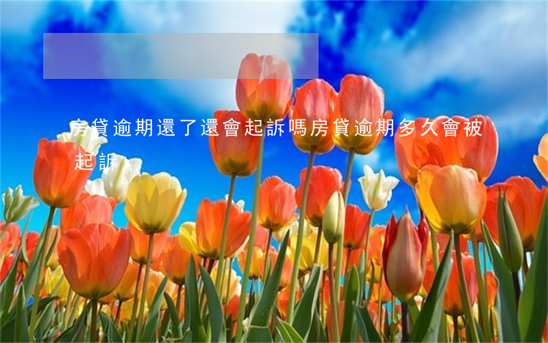 房貸逾期還了還會起訴嗎(房貸逾期多久會被起訴)