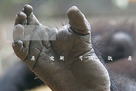 房貸逾期還可以貸款嗎(房貸逾期了可以貸款嗎)