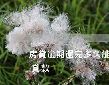 房貸逾期還完多久能貸款(逾期還清后多久能貸款)