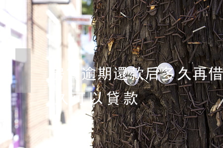 房貸逾期還款后多久再借(貸款逾期還上后,多久可以貸款)