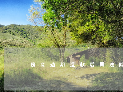 房貸逾期還款后果法院