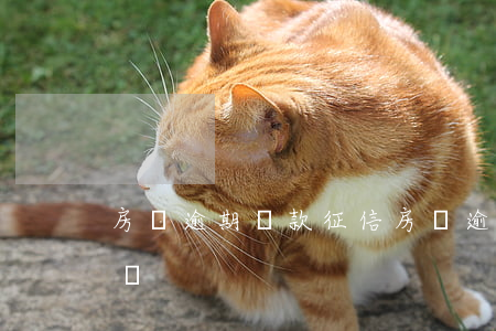 房貸逾期還款征信(房貸逾期還款征信會顯示嗎)