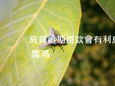 房貸逾期還款會有利息嗎(房貸還款逾期有影響嗎)