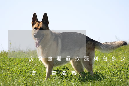 房貸逾期還款漲利息多少(銀行貸款逾期利息會一直漲嗎)