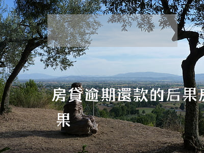 房貸逾期還款的后果(房貸逾期還款有什么后果)