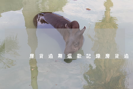 房貸逾期還款記錄(房貸逾期還款記錄)