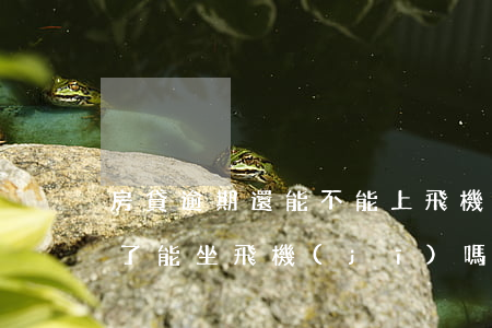 房貸逾期還能不能上飛機(jī)(貸款逾期了能坐飛機(jī)嗎)