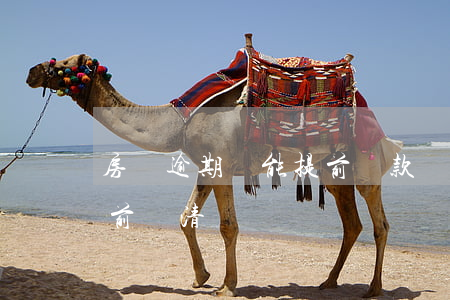 房貸逾期還能提前還款嗎(房貸有逾期可以提前還清嗎)