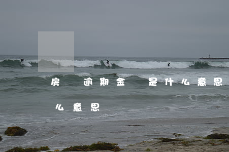 房貸逾期金額是什么意思(房貸逾期金額是什么意思)