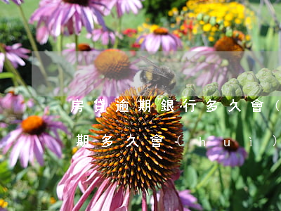 房貸逾期銀行多久會(huì)抓人(房貸逾期多久會(huì)打電話催收)
