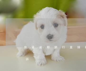 房貸逾期銀行直接起訴-房貸逾期了銀行起訴