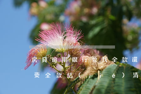 房貸逾期銀行要我全款還(房貸逾期銀行起訴要全款結(jié)清)