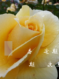 房貸逾期銀行起訴兩次了怎么辦(銀行貸款逾期兩次怎么辦)