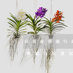 房貸逾期銀行起訴到法庭能協(xié)商嗎(銀行房貸起訴了判決了可以協(xié)商嗎)