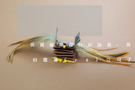 房貸逾期銀行起訴我-房貸逾期銀行起訴我和置業(yè)公司了怎么辦