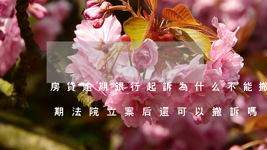 房貸逾期銀行起訴為什么不能撤訴-房貸逾期法院立案后還可以撤訴嗎