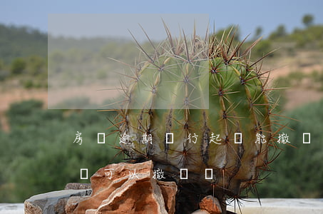 房貸逾期銀行起訴能撤訴嗎(銀行貸款逾期起訴可以撤訴嗎?)