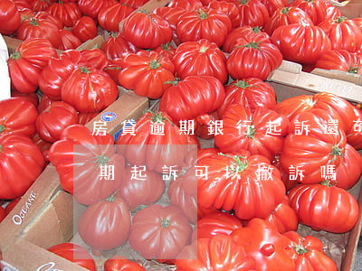 房貸逾期銀行起訴還可以撤訴嗎(銀行貸款逾期起訴可以撤訴嗎?)