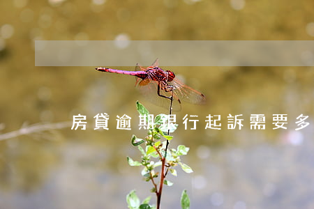 房貸逾期銀行起訴需要多久